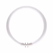 Bagel Fluorescent Bulbs