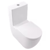 Upright Toilet